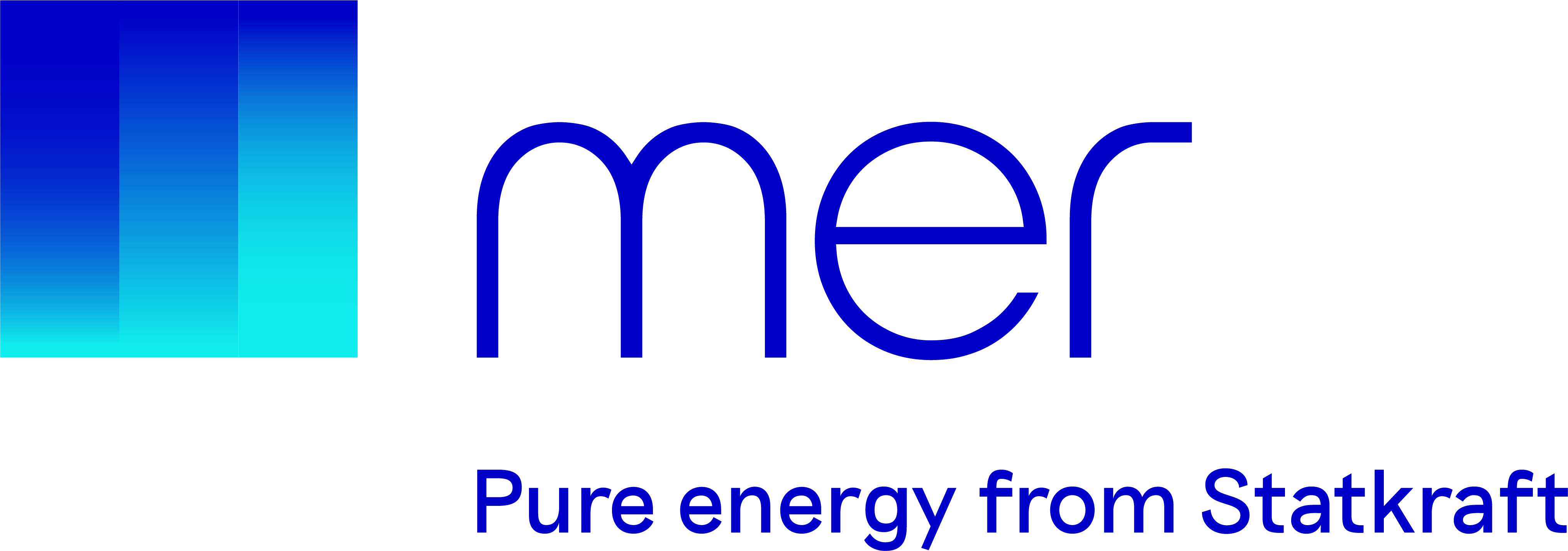 mer-logo.png