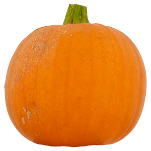 5060206744134_T1.png
