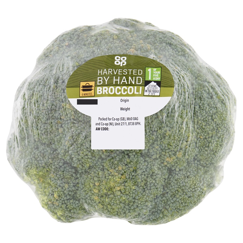 broccoli.jpg