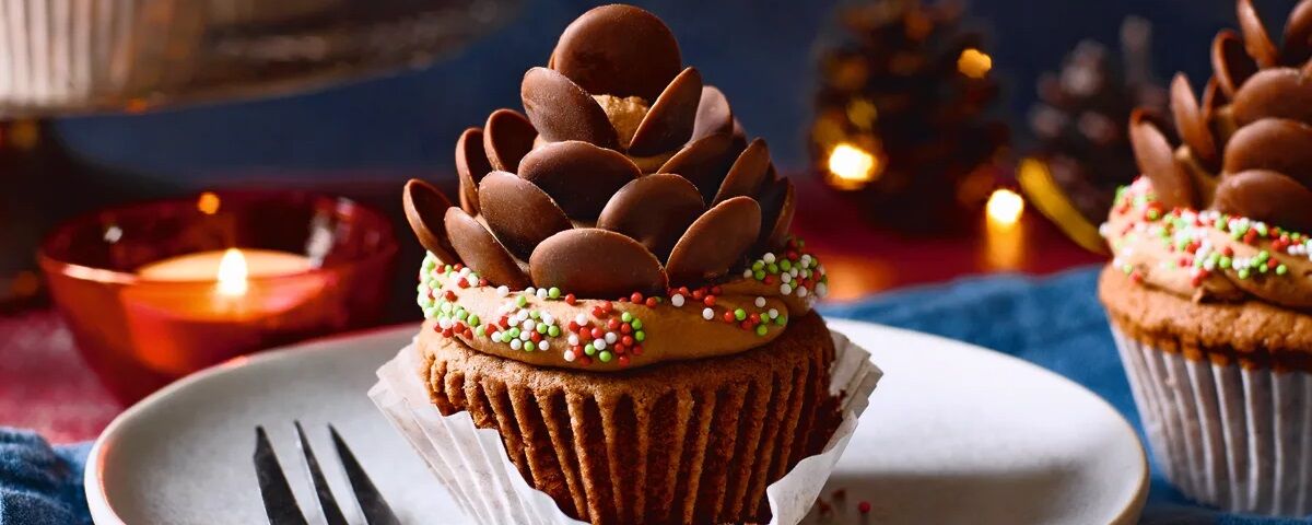 Chocolate pine-cone cupcakes header.jpg