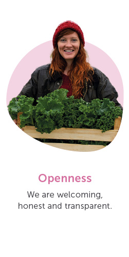 Openness Banner.jpg